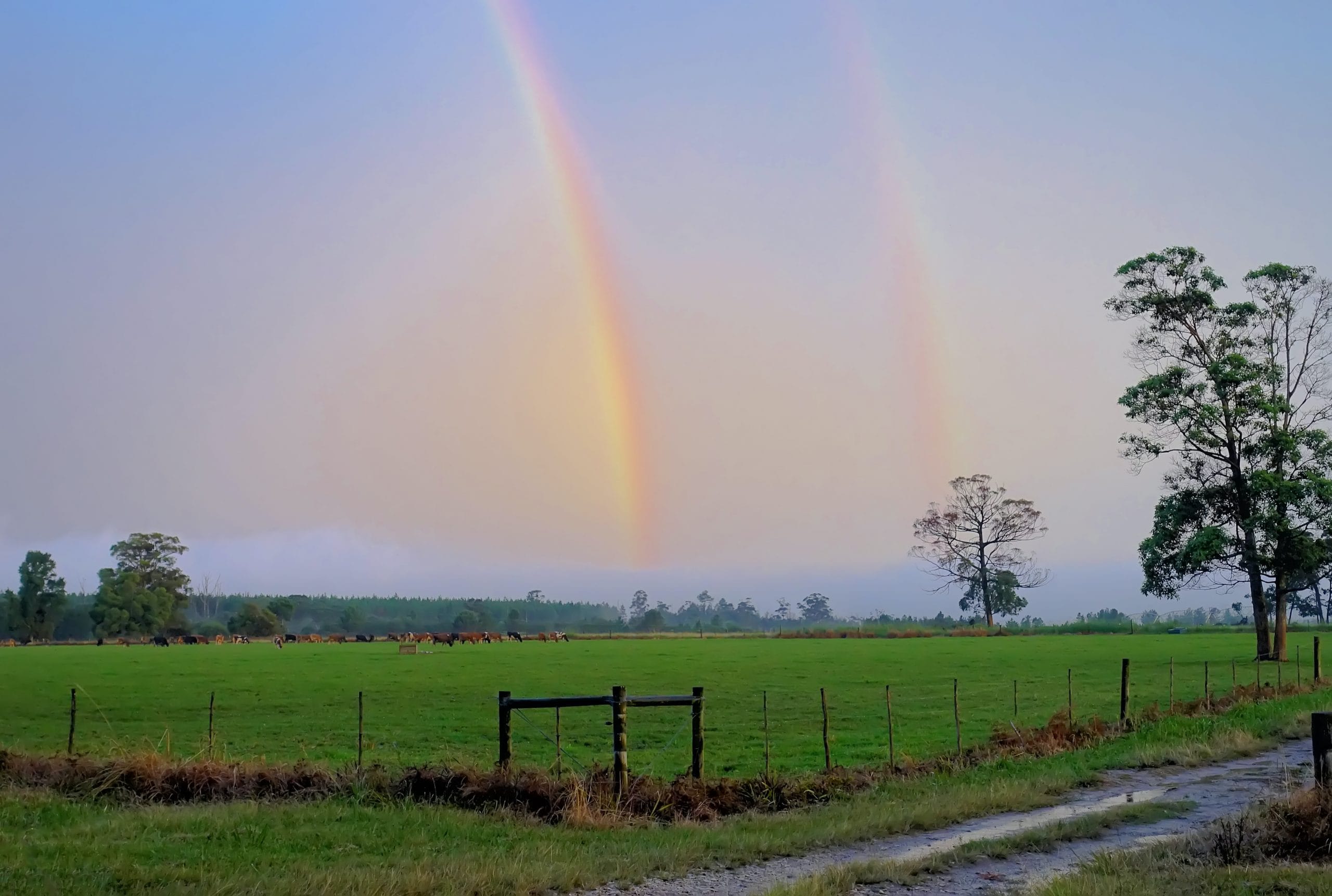 Read more about the article Can you fly a drone show in the rain?
