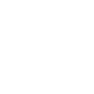 NYC Logo