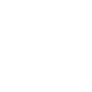 Stand Out Media Logo