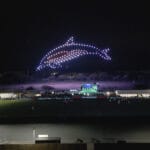 Dolphin Drone Light Show