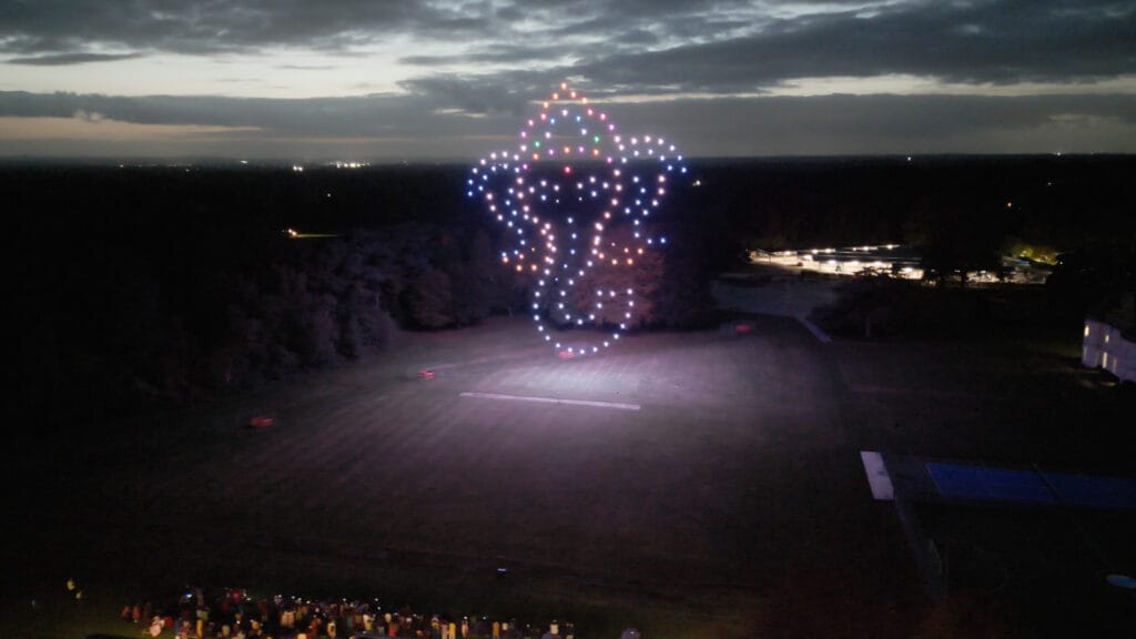 Elephant Drone Light Show