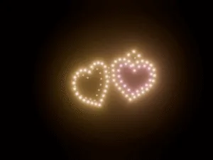 Wedding 100 Drone Locket